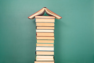 《红楼梦》人物描写是什么？