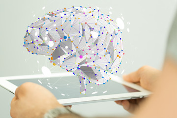 桂花的花期是多少天