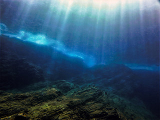 世界上十大奇异动物