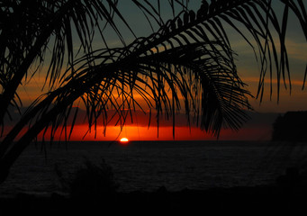 桂花的花期是多少天