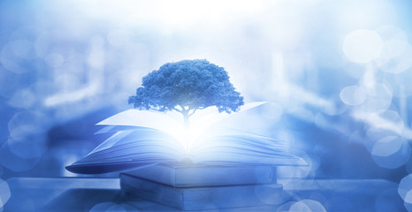 牙齿痛是什么原因