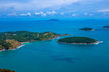 初一生物的知识点