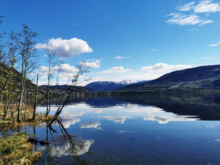 软文推广有哪些技巧？
