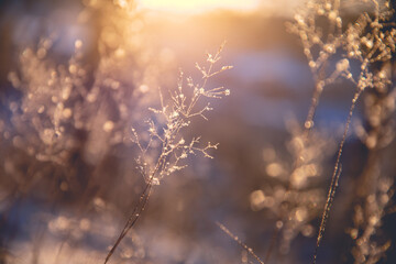 描写感恩的优美诗句