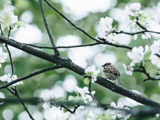 描写感恩的优美诗句