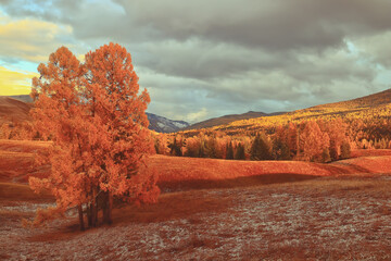 3-6岁儿童室内游戏