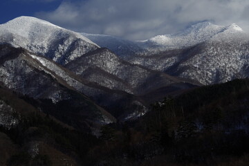 初一生物的知识点