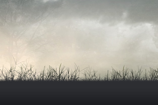 桂花的花期是多少天