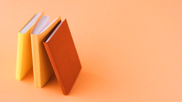 《红楼梦》人物描写是什么？