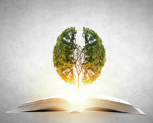 一道公务员行测言语理解题