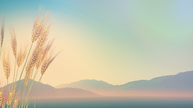 森林防火宣传标语十条分别是-