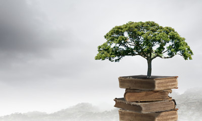 牙齿痛是什么原因