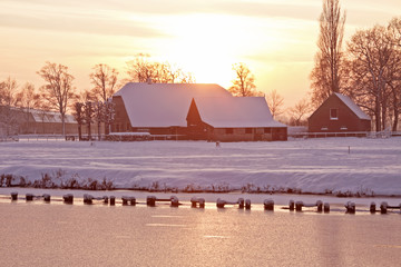 初一生物的知识点