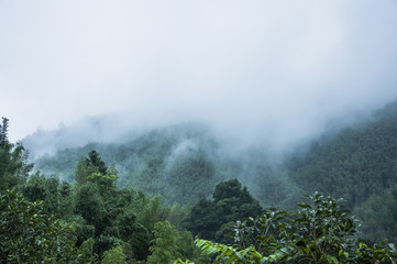 世界上十大奇异动物